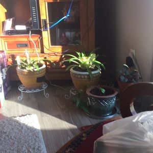 Meet your Posher, Dian